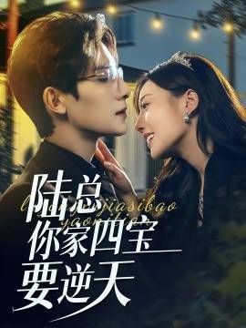 陆总你家四宝要逆天 第03集
