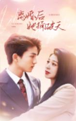 离婚后她捅破天 第02集